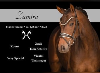 ZAMIRA
