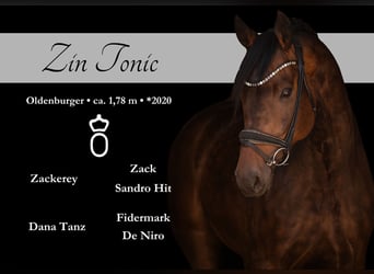 Zin Tonic