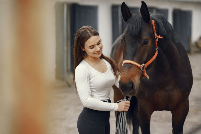 Wie viel kostet ein Pferd?