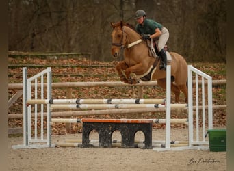 Hanover Gis