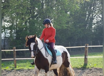 Birdy celtic horse