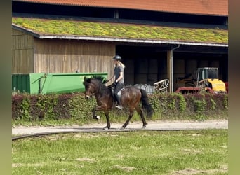 Bíbí vom Brock