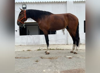 CUATRALBO