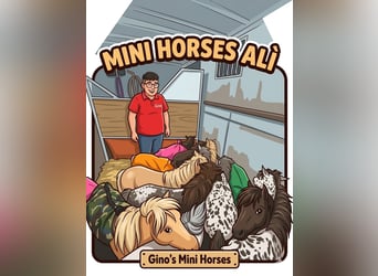 MINI HORSE