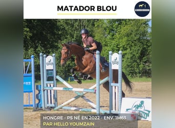 MATADOR BLOU