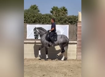 Octavio