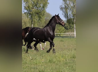 Winnetou
