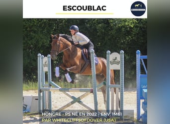 ESCOUBLAC