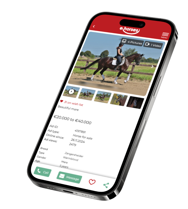 Über ehorses