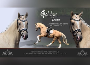 Golden Jazz
