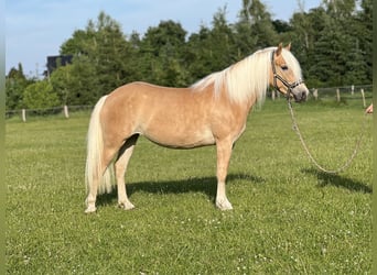 Milana