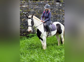 Milltown Madam