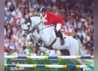 Weitere Warmblüter, Unbekannt, Embryo